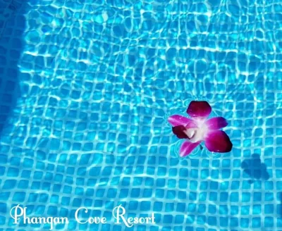Phangan Cove Beach Resort – Fotos 6